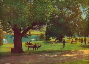 The Botanic Gardens, Melbourne by Photographer Australian