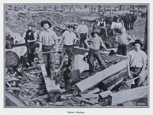 Timber Workers