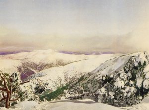 Winter in the Victorian Alps by Photographer Australian