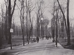 In the Tiergarten, Maple Path by Photographer German