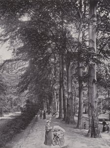 Im Tiergarten, Ein schattiger Weg by Photographer German