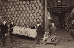 Hops in Store, St James