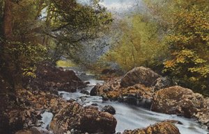 Ireland: In The Dargle, County Wicklow by Photographer Irish