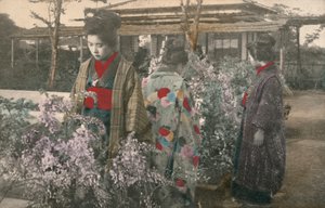 Japanese women with wisteria plants