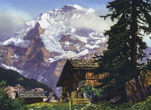 The Jungfrau
