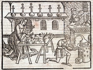 Medicine through plants and their virtues - in Des profits champêtres et ruraux by Pierre de Crescent, Paris by Piero da Crescentino