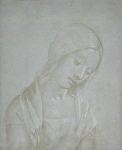 Bust of a Young Woman by Piero di Cosimo.
