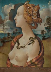 Portrait of Simonetta Vespucci by Piero di Cosimo