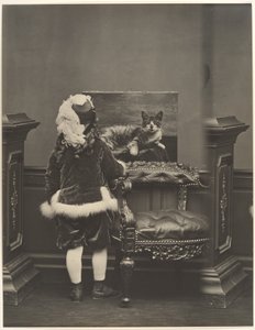Giorgio de Castiglione by Pierre-Louis Pierson