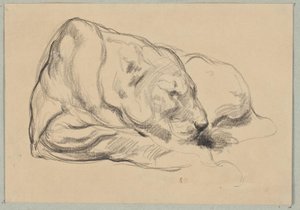 Lying Lioness by Pierre Andrieu