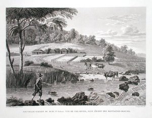 New South Wales, New Holland: View of the Cox River in the west of the Blue Mountains, from 
