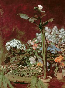 Lily and Greenhouse Plants by Pierre Auguste Renoir