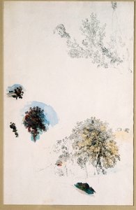 Studies of Trees by Pierre Auguste Renoir