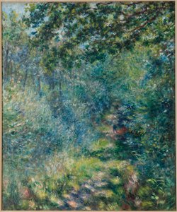 Trail in the Woods