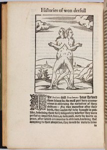 A Collection of Extraordinary Stories, 1560