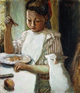 Infant and Cat