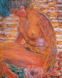 Sombre Nude