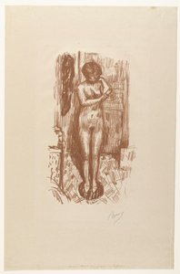 Standing Naked Woman Washing Herself by Pierre Bonnard
