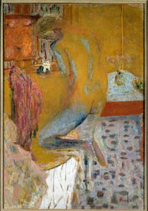 Woman at her toilet