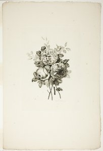 Bouquet with Roses, from Collection of Different Bouquets of Flowers, Invented and Drawn by Jean Pillement and Engraved by P. C. Canot by Pierre Charles Canot
