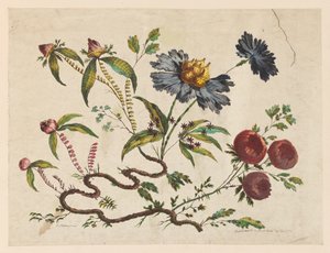 Flower Boughs, from "Collection of Different Fantasy Flowers in the Chinese Taste" by Pierre Charles Canot