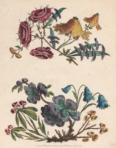 Two Sprays of Imaginary Flowers by Pierre Charles Canot