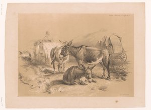 Study of Three Donkeys by Pierre Frédéric Lehnert