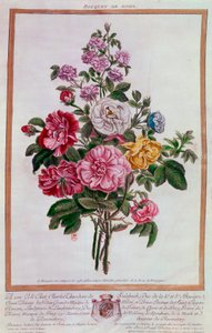 Bouquet of Roses, Lithography by Pierre Joseph Buchoz, 18th Century, Paris, B.N.