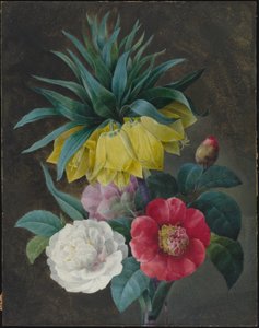 Four Peonies and a Crown Imperial by Pierre Joseph Redouté