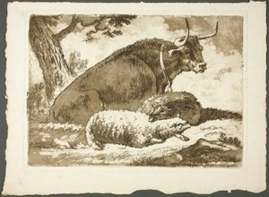A Bull and Two Sheep
