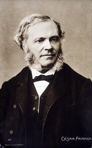 Portrait of César Franck, French composer and organist of Belgian origin (1822-1890)