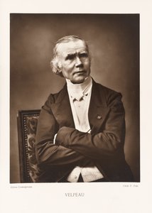 Velpeau