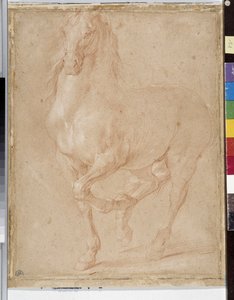 Horse study by Pierre Puget