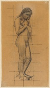A Standing Male Nude