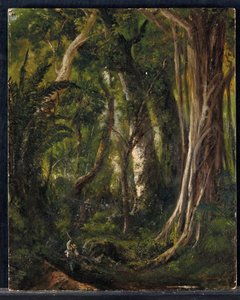 Travellers in a Cuban forest