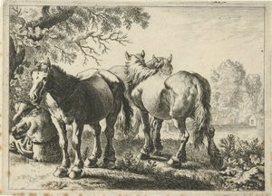 Three Horses and a Farmer
