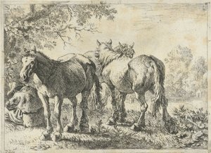 Three Horses and a Farmer (Various Animals series)