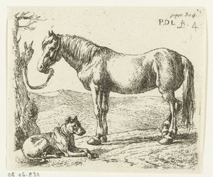 Horse and Dog in a Meadow