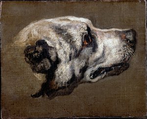 Head of a Hound