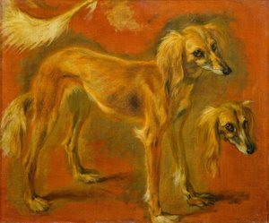 Two Studies of a Greyhound
