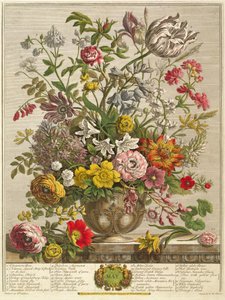 May, from 