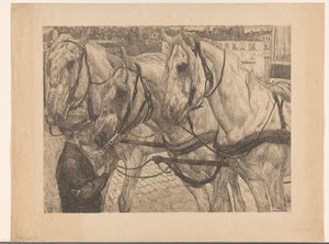 Stable Boy