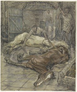 The Slaughter of Two Horses