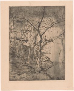 Bare Trees by the Water by Pieter Dupont