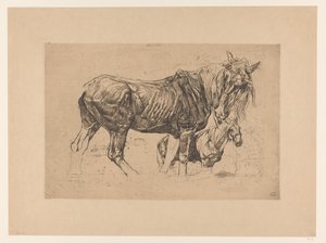 Study Sheet with Two Horses by Pieter Dupont
