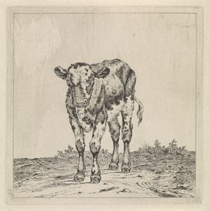 Landscape with Calf