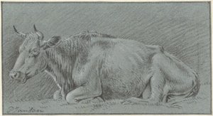 Lying Cow by Pieter Janson