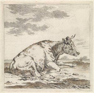 Lying Cow, Facing Right by Pieter Janson