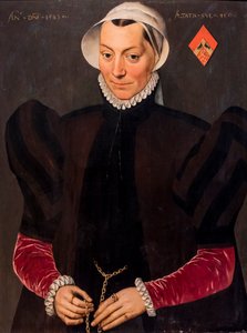 Portrait of a Woman Aged 45