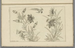 Two Flowering Shrubs and a Swallow by Pieter Schenk (II)